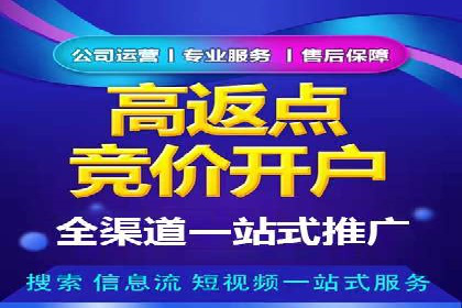 SEM竞价开户流程详解：成功案例解析