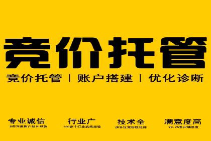 电商信息流广告推广成功案例分享